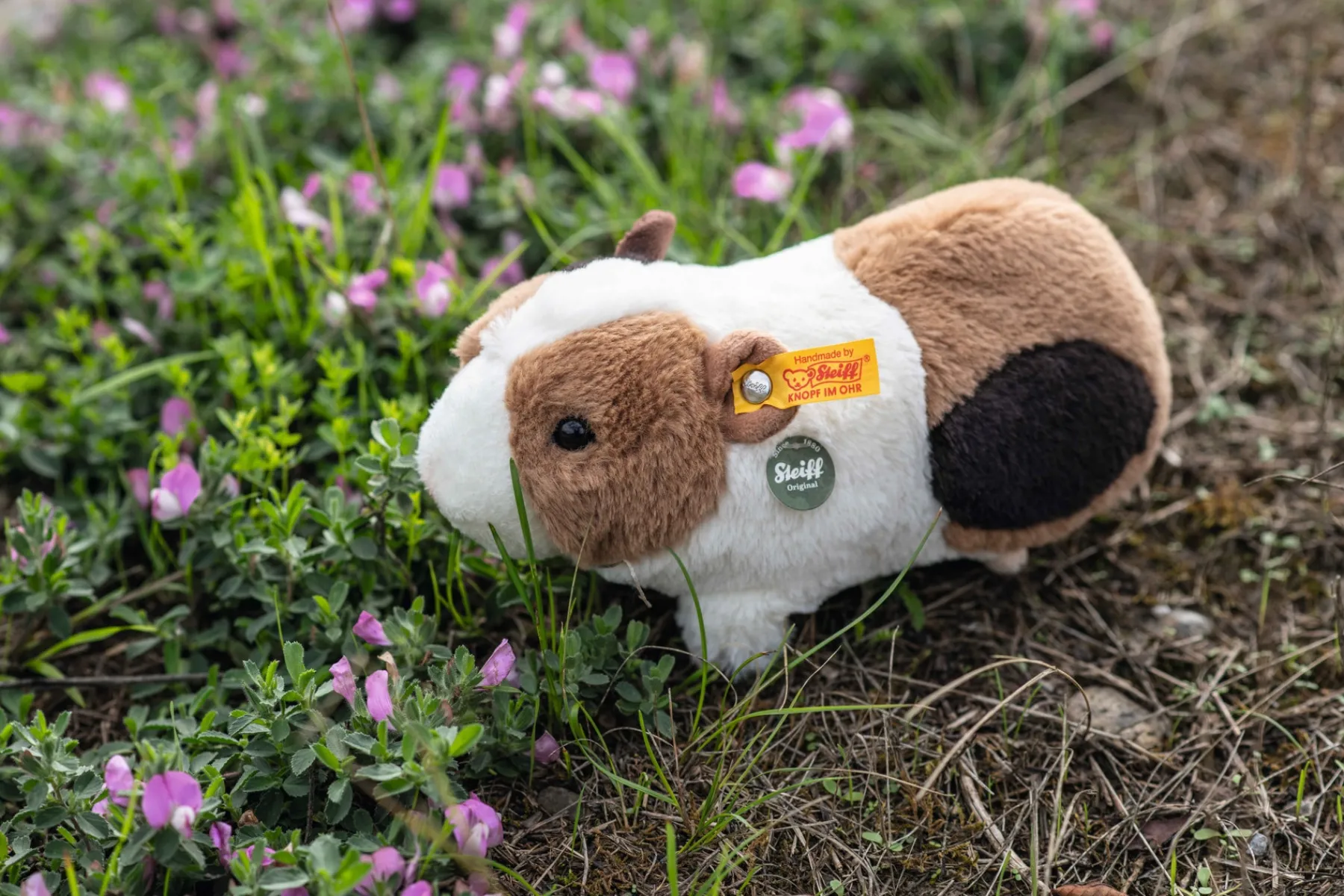 Enfant Steiff Mini Peluches | Peluches Pour Enfants*Cochon d'Inde Dalle avec voix à pression, 22 cm, multicolore